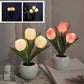 🔥LED Tulip éjszakai lámpa virág asztali lámpa🌷✨