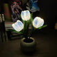 🔥LED Tulip éjszakai lámpa virág asztali lámpa🌷✨