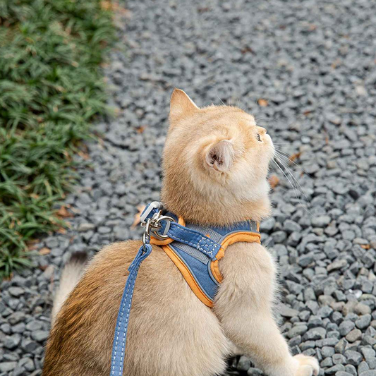 🐱🚶‍♀️ Reflexes macska hám és póráz szett 🎨