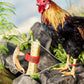🐔🔒 Állítható Baromfi Lábkötők 🎨