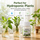 🌱✨ Víz tisztító tabletták hidropóniás növényekhez és vágott virágokhoz 💧🌸