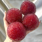 Crunchy Squishy Stress Ball for Kids & Adult