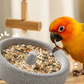 🐦🌋 2 az 1-ben vulkáni kő madáretető és csőrörlő ✨
