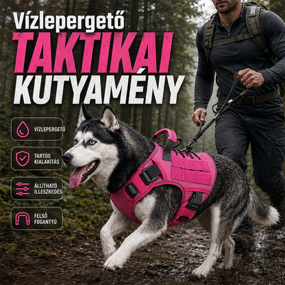 Megerősített varrás és tartós anyag – kibírja az aktív kutyák mozgását – Vízálló taktikai kutyamellény – Utánvéttel! 💪